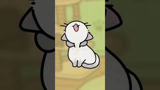 OIIA OIIA 🐱