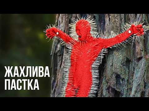 Анатомія страху: Найжорстокіші пастки В'єтнамської війни