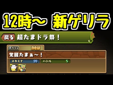 【生放送】12時から新ゲリラ 超たまドラ祭！【パズドラ】