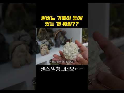 와 알비노도 나오네요ㄷㄷ