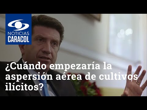 ¿Cuándo empezaría la aspersión aérea de cultivos ilícitos Diego Molano da una posible fecha