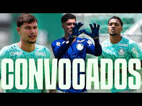 image para ilustrar o artigo