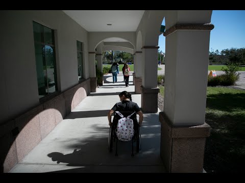 Occupational therapy students at FGCU navigate campus in wheelchairs for class assignment