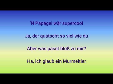 Wir wollen ein Tier. Mit Lyrics. Die Schule der magischen Tiere