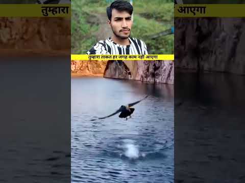 तुम्हारे ताकत हर जगह काम नहीं आएगा #duet #shortsfeed