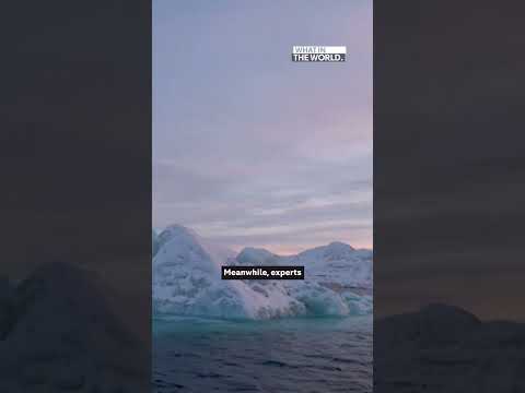 Trump looms over Greenland election