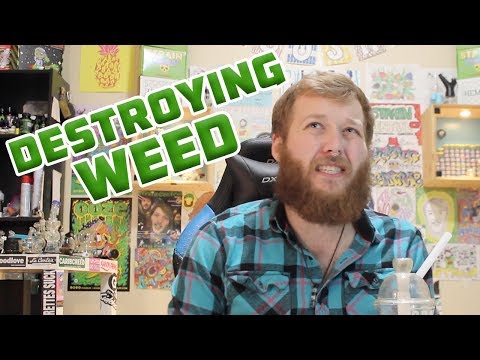 $70 Million Worth of Weed Being Destroyed - (WWB #8)