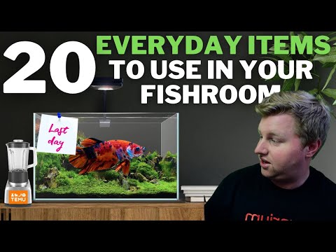 20 Everyday Products You Can Use In Your Fishroom Hope you enjoy today's video exploring all sorts of normal, everyday products that can be used in an