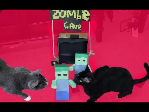 Minecraft Cat Zombie Games