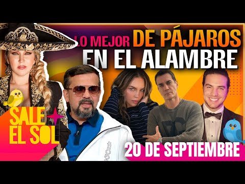 Alicia Villareal, Belinda, David Zepeda | Lo Mejor de Pájaros en el Alambre | 20/09/2024