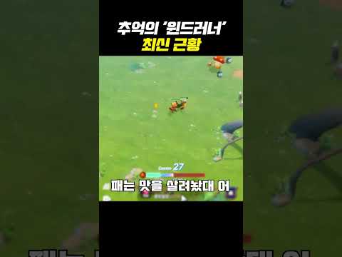 추억의 <strong>윈드러너</strong> 최신 근황