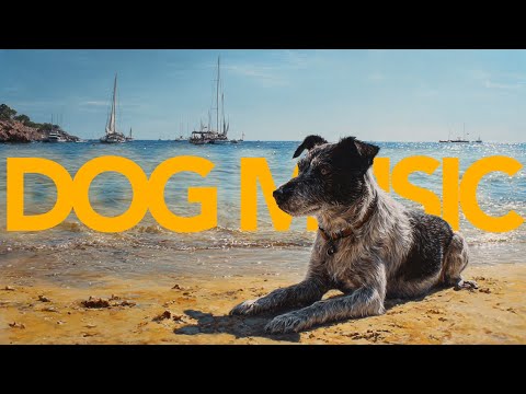 🔴 [LIVE] Calm Music for Dogs to Relax 24/7