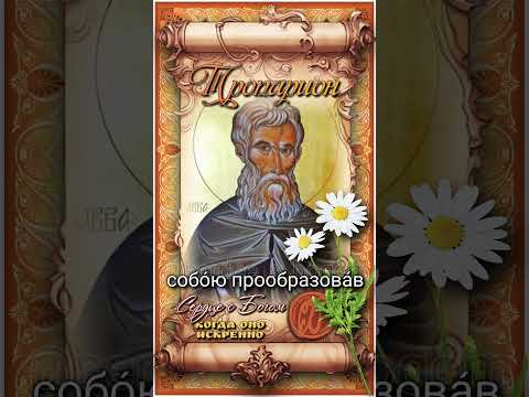 31 июля Прп. Памво пустынник Нитрийский (IV век)
