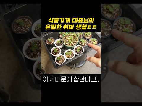 식물가게에 웬 비밀의 공간이??