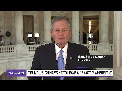 US, China Relationship 'Too Big to Fail,' Says Sen. Steve Daines