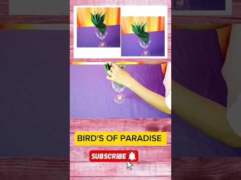 BIRD'S OF PARADISE W/ THE GLASS NAPKIN FOLDING