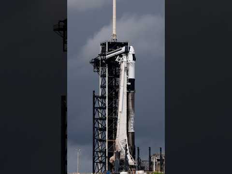 SpaceX Turns Away Falcon Customers in Major Bet on Starship
