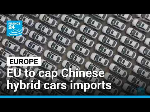 Are European automakers capable of withstanding Chinese competition? • FRANCE 24 English