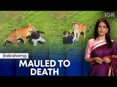 Man Dies After Entering Tiger Enclosure At UK Wildlife Park | The Palki Sharma Show | IGR