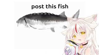 [how to fish] everything hurts