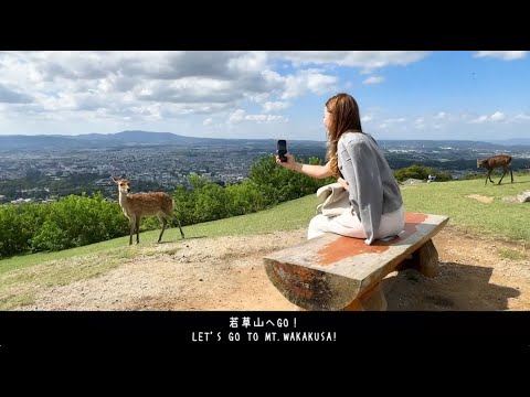 奈良交通 若草山頂行きバス ”Wakakusa Hilltop Bus”