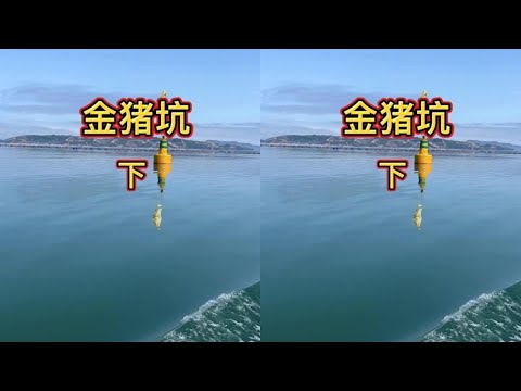 大雾天气，船机器坏了照样不影响阿生盘坑，收获米鱼鳗鱼红谷，三兄弟分了回家吃大餐 #三农短视频征集大赛 #赶海抽水坑 #海边生活