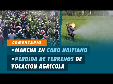 Marcha en cabo Haitiano, Pérdida de terrenos de vocación agrícola | Matinal