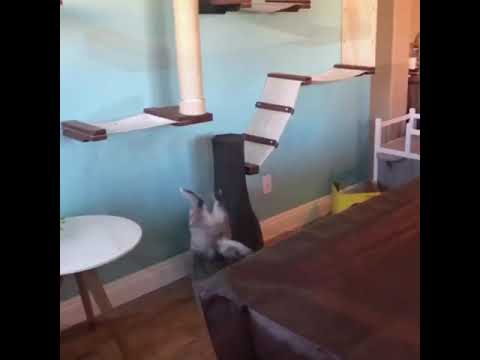 Miscalculated