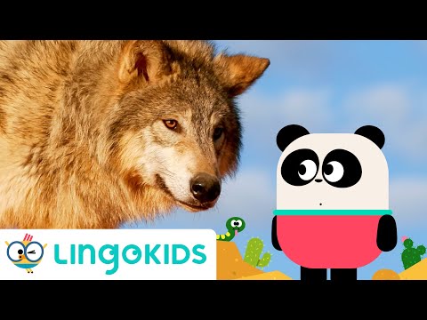 ANIMALS IN THE WORLD SONG 🏜️🎶 Animals Songs for kids | Lingokids