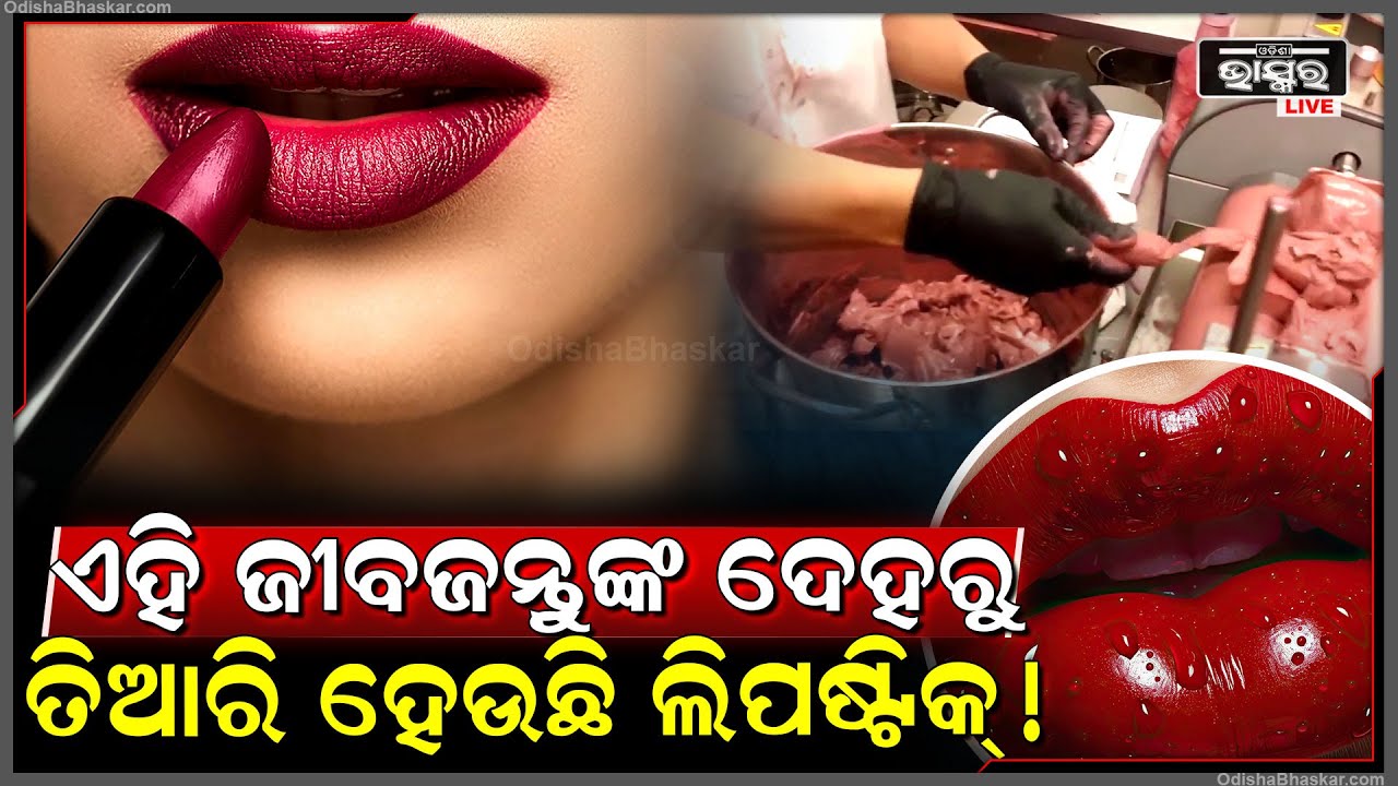 ଲିପଷ୍ଟିକ୍ ଲଗାଇବାକୁ ଭଲ ପାଉଥିବା ଯୁବତୀଙ୍କୁ ଝଟକା...ସତ ଜାଣି ଓଠରେ ଲଗାଇବାକୁ କରିବେ ଘୃଣା !