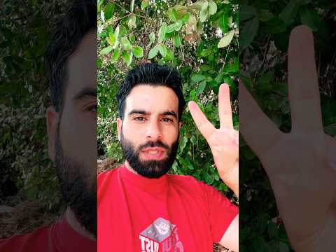 من الشام تتجدد البيعه الحاديه عشر للملك سلمان حفظه الله #foryou #اكسبلور