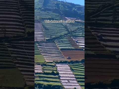 just relax #nature #travel #shortvideo #automobile #mountains #shortvideo #beautiful