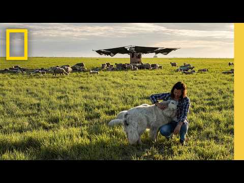 Regeneration in Action | Building Resilient Farms in Iowa | National Geographic