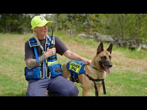 Supporting Safer Missions for Victorian Search and Rescue Dog Teams