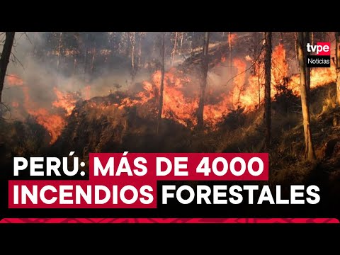 Perú suma más de 4000 incendios forestales en los últimos 5 años