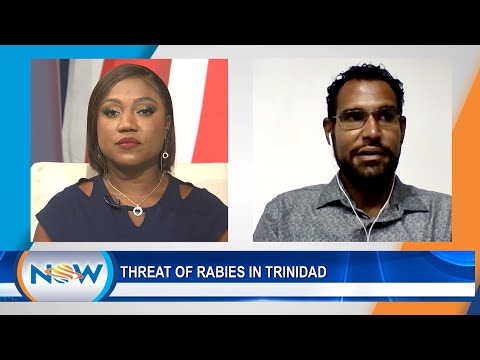 Threat Of Rabies In T&T
