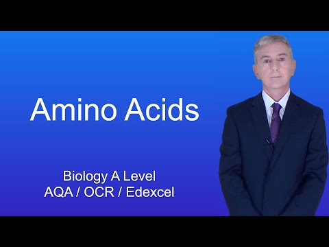 A Level Biology Revision "Amino Acids"