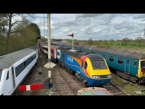HSTs on the Colne Valley Railway 30/3/24