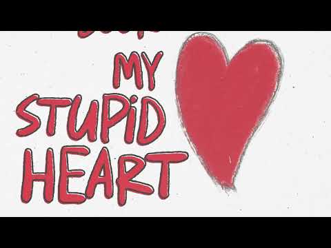 walk off the earth my stupid heart music video