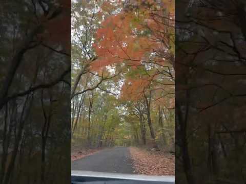 Anniversary 2025: Adventure vibes only #adventures #explore