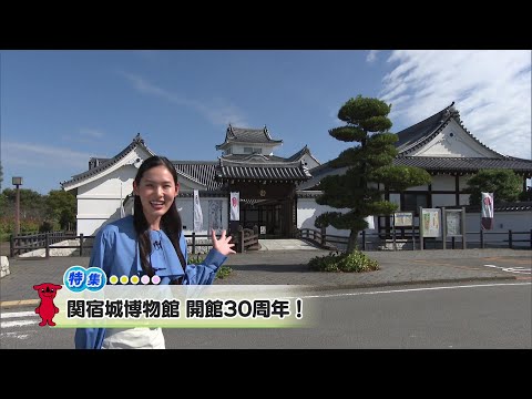 ウィークリー千葉県「関宿城博物館開館30周年！」R7/10/18