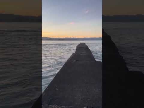 【夏限定の絶景体験】早起きして海へ！サンライズと爽快な風が心と体に元気をくれる理由