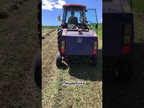 #familyvlog #сільськежиття #farming #farm #farmer #family #kubotatractor #traktor