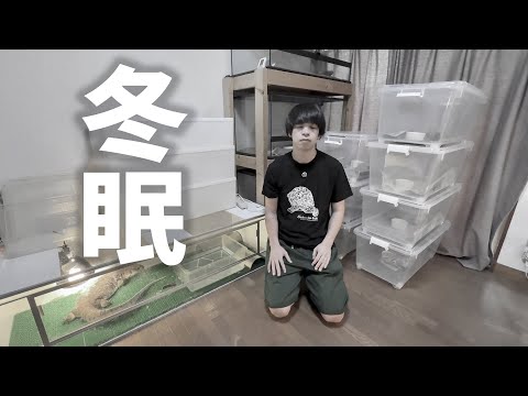 100匹の爬虫類の冬支度を紹介します
