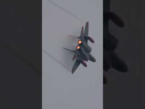 登場の仕方がカッコ良すぎるF-15 岐阜基地航空祭2025 事前公開