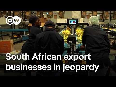 Trump's tariffs shake African economies: Could it get worse? | DW News