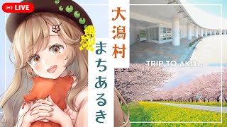 秋田県人必見！「大潟村」の名所をストリートビューで巡るべ✨┊︎#秋田 #秋田県 #蕗之葉みもざ