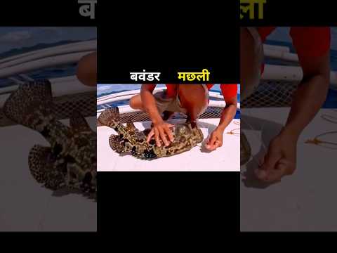 बवंडर मछली 😱 #aivideo #fishing #fascinatinginformation #amazingfacts #youtubeshorts #facts