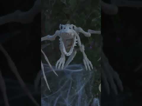 It's time for vampires. #halloween #gothic #spooky