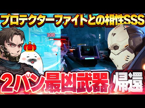 最強と噂だった『あの武器』、ガチでやばすぎた【Apex Legends/PC版ソロプレデター】ピースキーパー ニューキャッスル プロテクター シーズン26 ソロランク